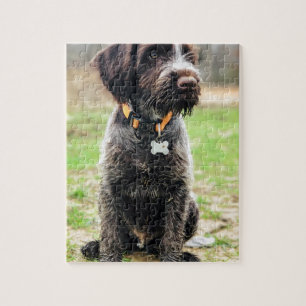 Wirehaired pointing Griffon puppy Jigsaw Puzzle