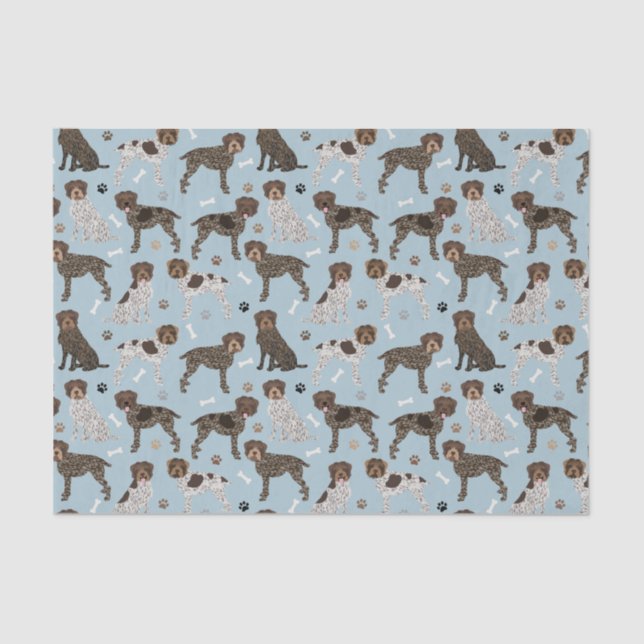 Wirehaired Pointing Griffon Tissue Paper (Front)