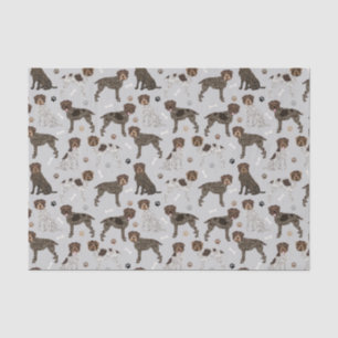 Wirehaired Pointing Griffon Tissue Paper