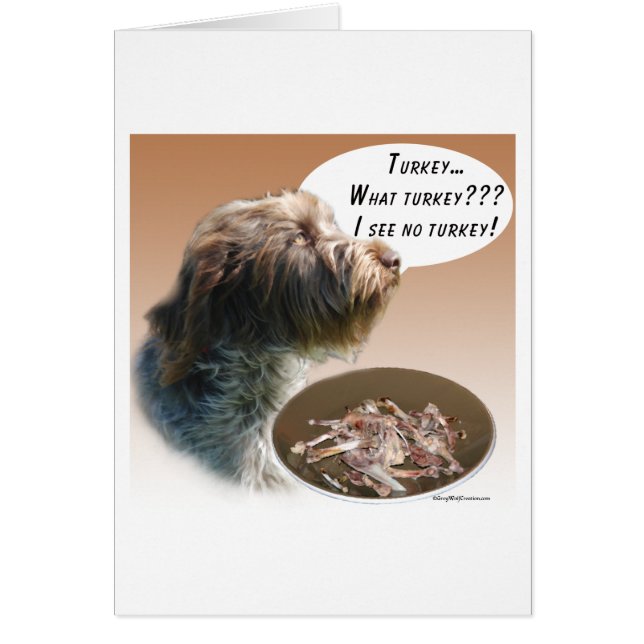 Wirehaired Pointing Griffon Turkey (Front)