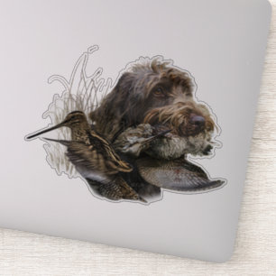 Wirehaired Pointing Griffon , Woodcock hunting 