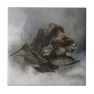 Wirehaired Pointing Griffon , Woodcock hunting Tile