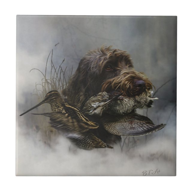 Wirehaired Pointing Griffon , Woodcock hunting    Tile (Front)