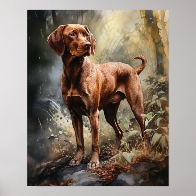 Wirehaired Vizsla Dog Art Print Poster (Front)