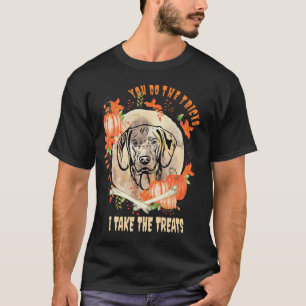 Wirehaired Vizsla Owner Halloween Pumpkin Humour T-Shirt