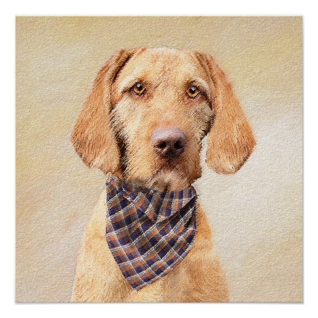 Wirehaired Vizsla Painting - Cute Original Dog Art Poster (Front)