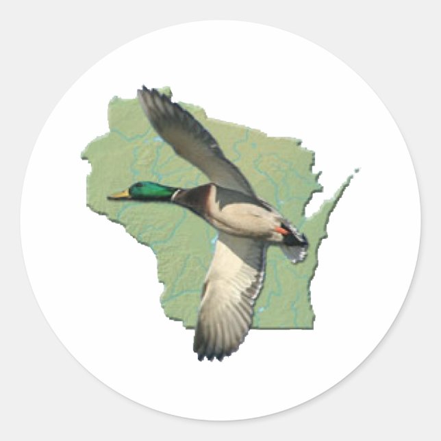 Wisconsin duck classic round sticker (Front)
