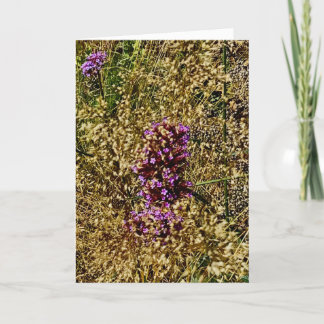 Wisconsin Purple Wildflower, Fall 2021 Card