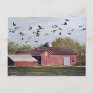 Wisconsin Sand Cranes- postcard