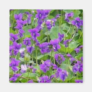 Wisconsin Wood Violets - Customized Magnet
