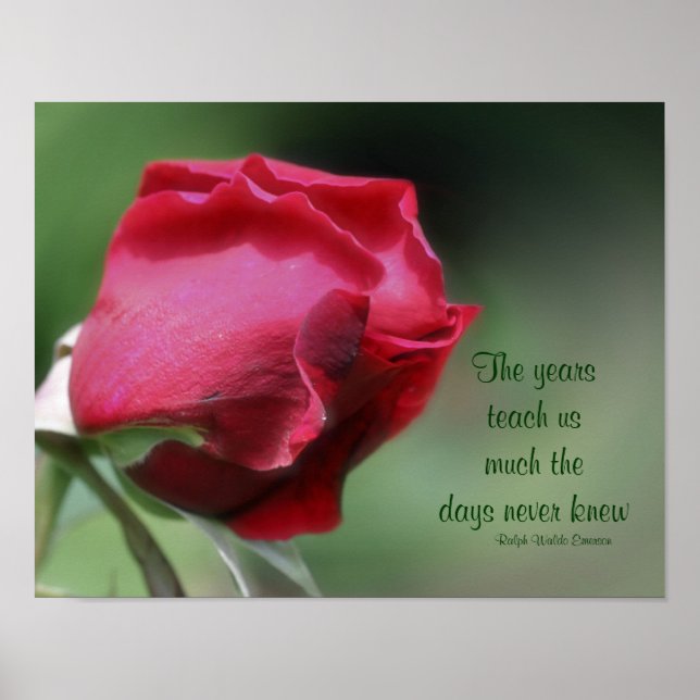 Wisdom Aging Quote Rosebud Inspirational Poster (Front)