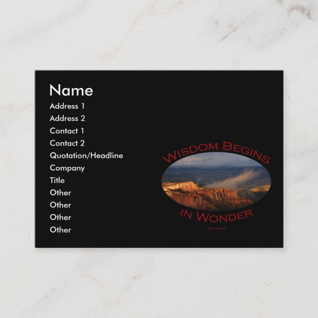 wisdom business card (Front)