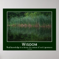 Wisdom Confucius Quote Cattails Inspirational