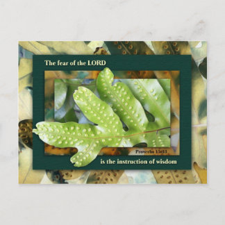 Wisdom from the Lord Postcard