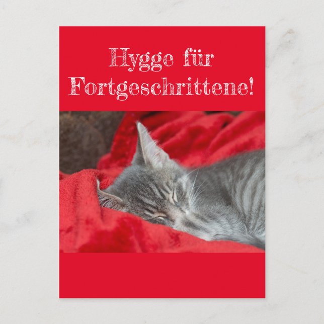Wisdom&Humor Hygge ..! Cat sleeps in red Postcard (Front)