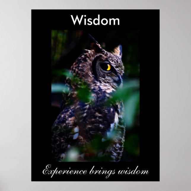 Wisdom Poster (Front)