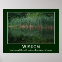 Wisdom Quote Cattails In Pond Inspirational