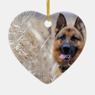 Wise German Shepherd Puppy Ceramic Ornament
