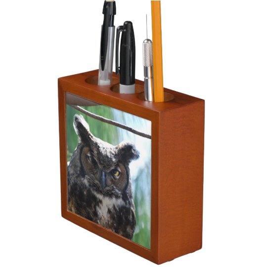 Wise Long Eared Owl Desk Organizer