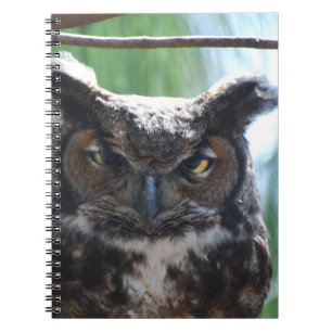 Wise Long Eared Owl Notebook