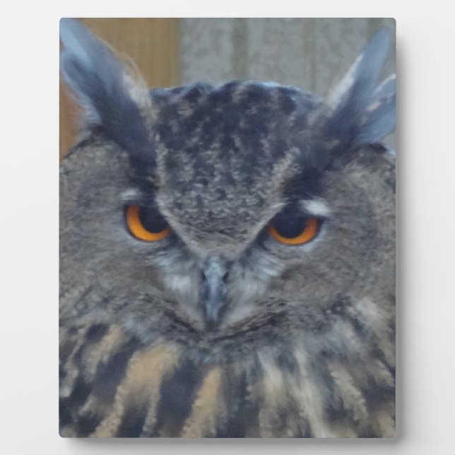 Wise One Plaque (Front)