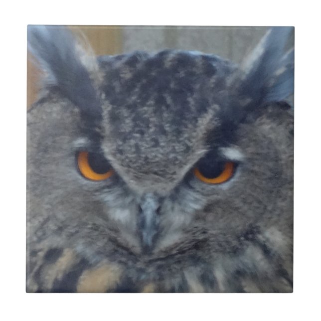 Wise One Tile (Front)