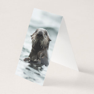 Wise Otter