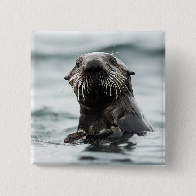 Wise Otter 2 Inch Square Button (Front)