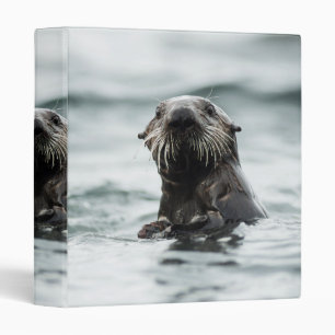 Wise Otter Binder