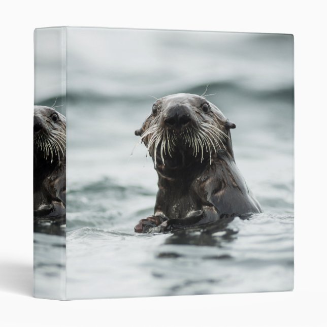 Wise Otter Binder (Front/Spine)