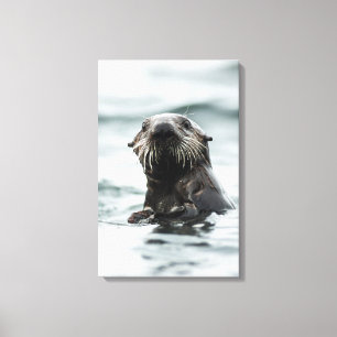 Wise Otter Canvas Print