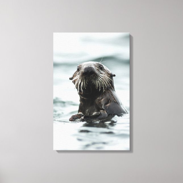 Wise Otter Canvas Print (Front)