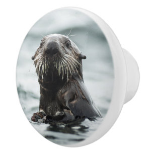 Wise Otter Ceramic Knob