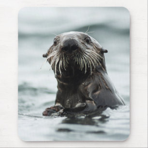 Wise Otter Mouse Pad