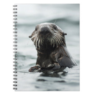 Wise Otter Notebook