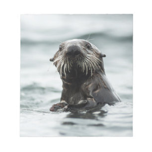 Wise Otter Notepad