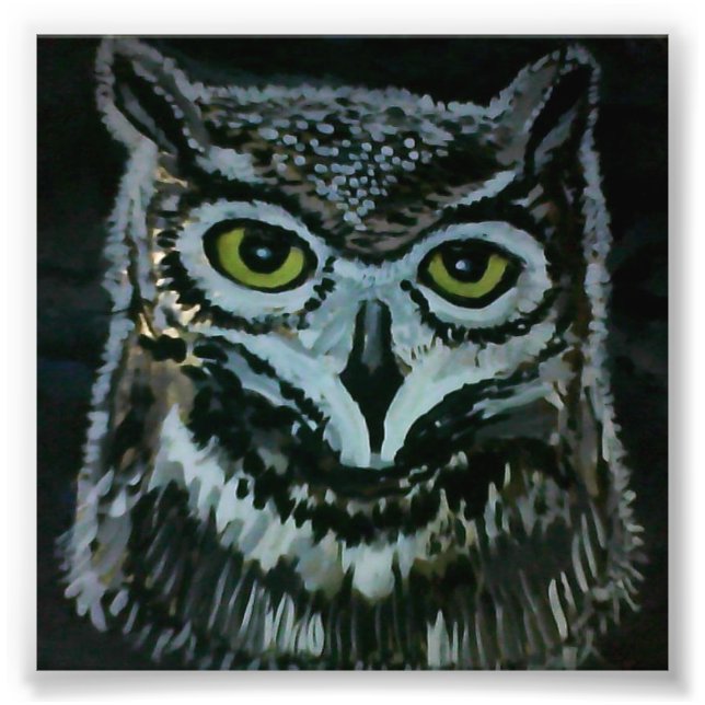 Wise Owl Photo Print (Front)