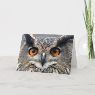 Wise Owl Photograph Card