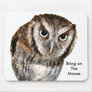 Wise Owl waiting for Mouse fun Mouse Pad