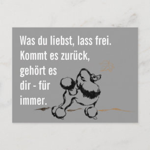 Wise Poodle Postcard