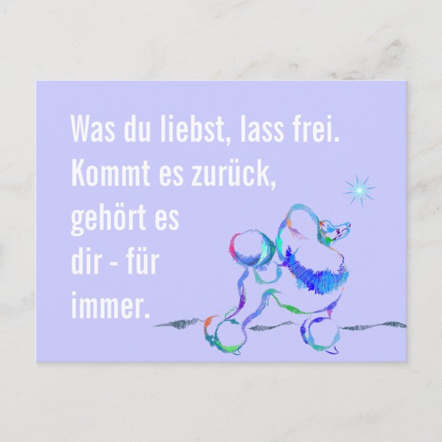 Wise Poodle Postcard (Front)