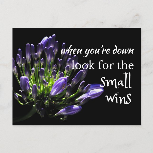 Wise words: ...look for small wins positive quote postcard (Front)