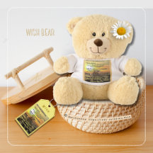 WISH Bear by Adiela Akoo