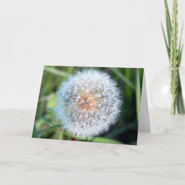 Wish Card (Front)