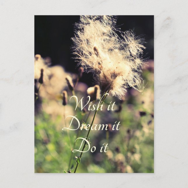 Wish Dream Do Postcard (Front)