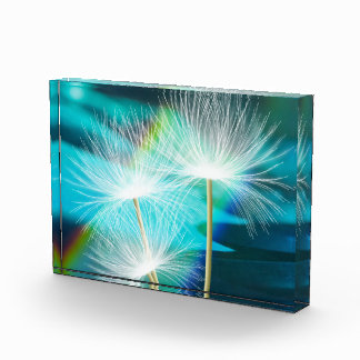Wish Flower Vibrant Photo Block