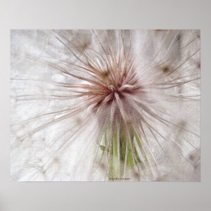 Wish Fulfilment Poster