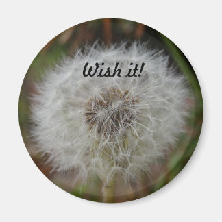 Wish it Magnet