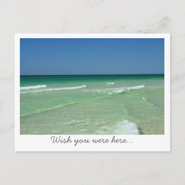 Wish You Were Here Florida Gulf Coast White border Postcard (Front)