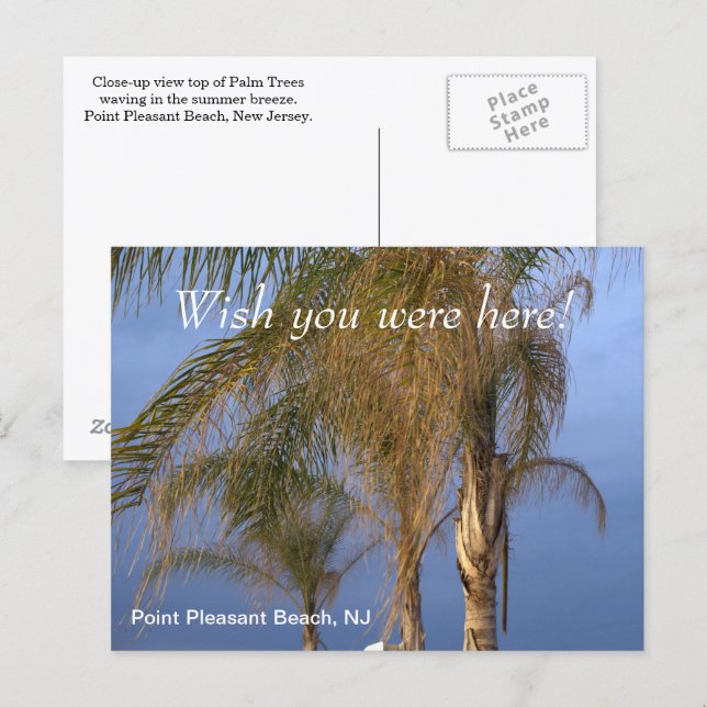 Wish you were here Point Pleasant Beach NJ Postcard (Front/Back)